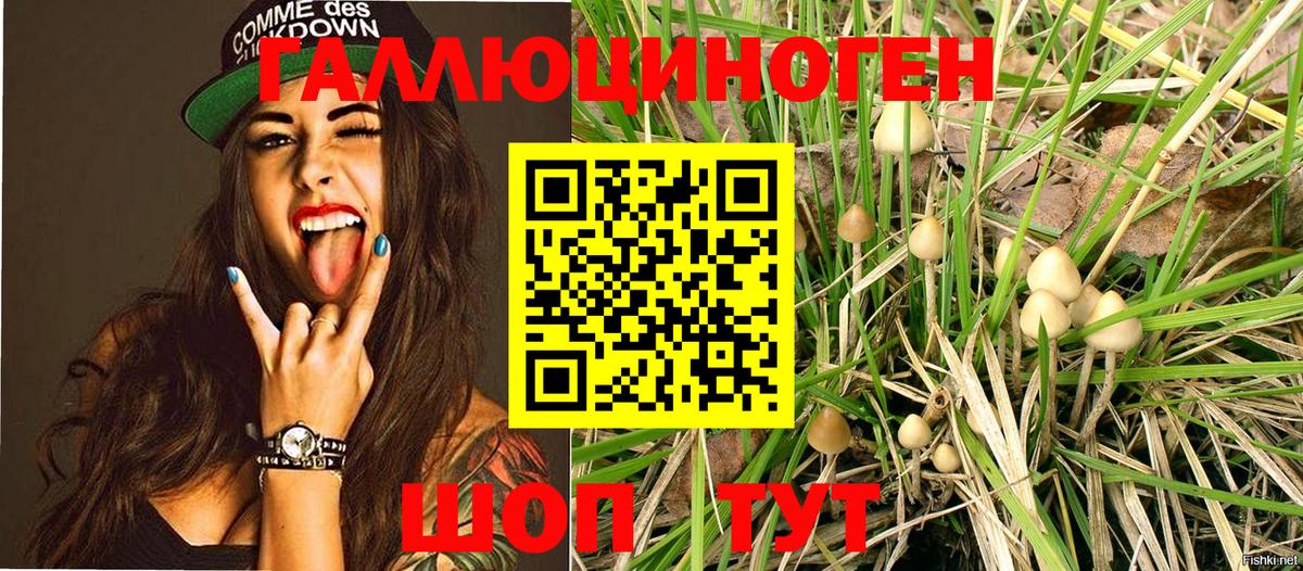 Галлюциногенные грибы ЛСД  Вход с VPN  Псилоцибиновые грибы MAGIC MUSHROOMS  Владимир 