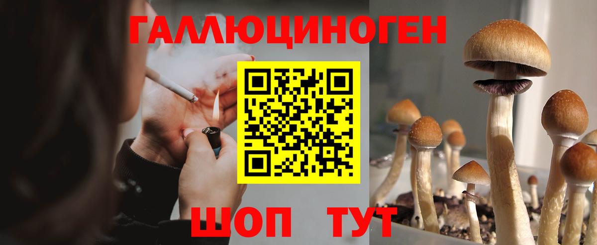 Псилоцибиновые грибы мухоморы Владимир